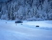 KSA-snow driving experience-048